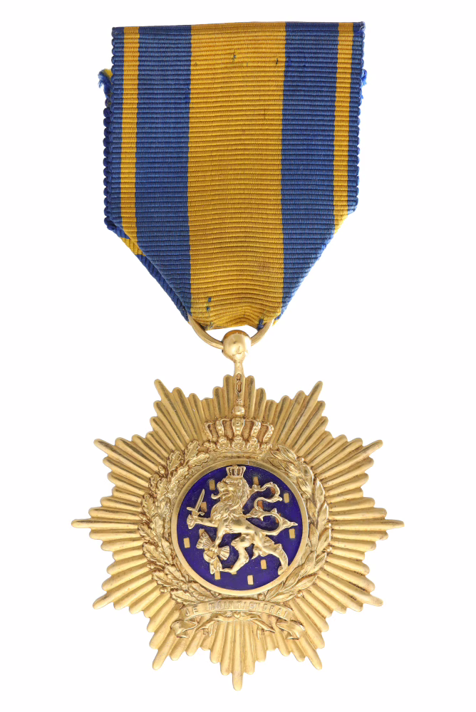 Ster voor Trouw en Verdienste, grote gouden ster