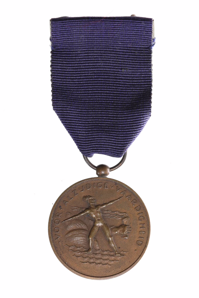 Vaardigheidsmedaille van de Koninklijke Nederlandse Brigade Prinses Irene